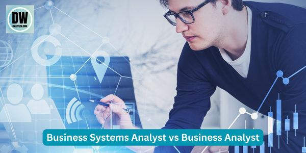 business systems analyst vs business analyst