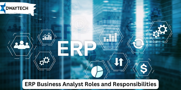 ERP Business Analyst