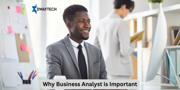 Why Business Analyst is Important