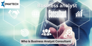 Who is Business Analyst Consultant