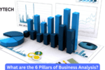 What are the 6 Pillars of Business Analysis?