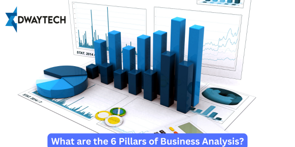 What are the 6 Pillars of Business Analysis?